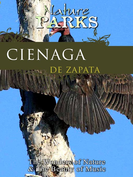 Click image to view full cover